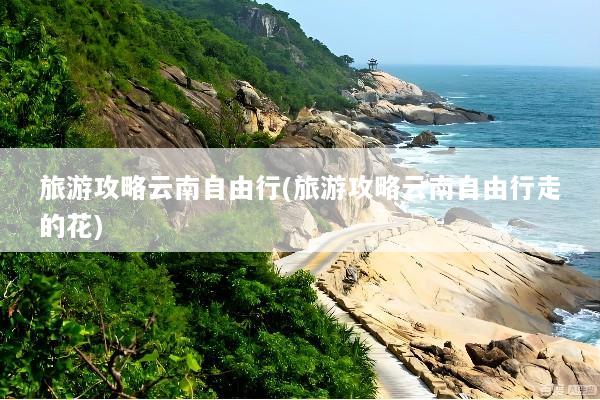 旅游攻略云南自由行(旅游攻略云南自由行走的花)